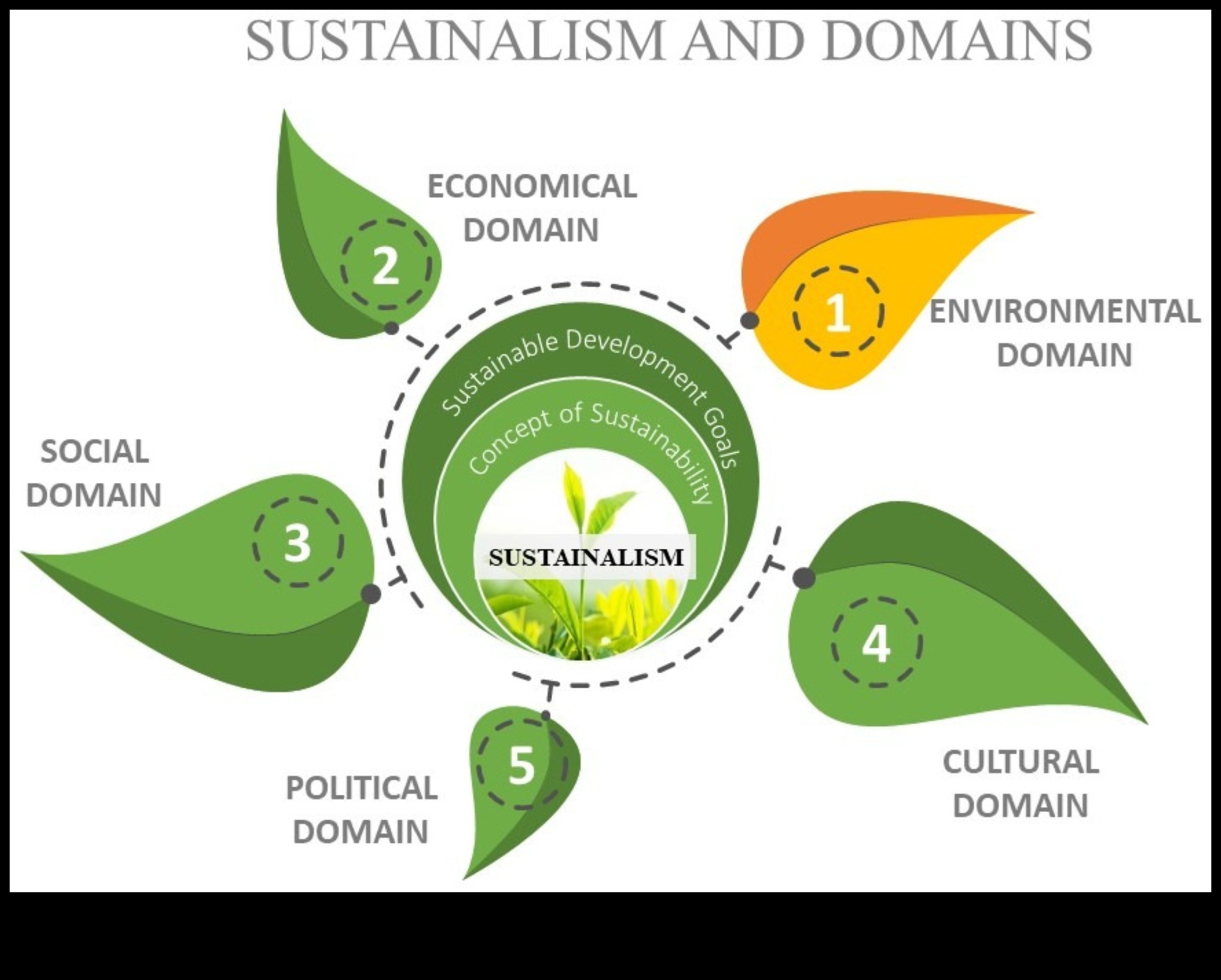 Îmbrățișarea tendințelor și tehnicilor de evoluție ecologice pentru revoluționarea ecologistului 2 Revoluționarea mediului înconjurător: tendințe și tehnici în evoluția ecologică