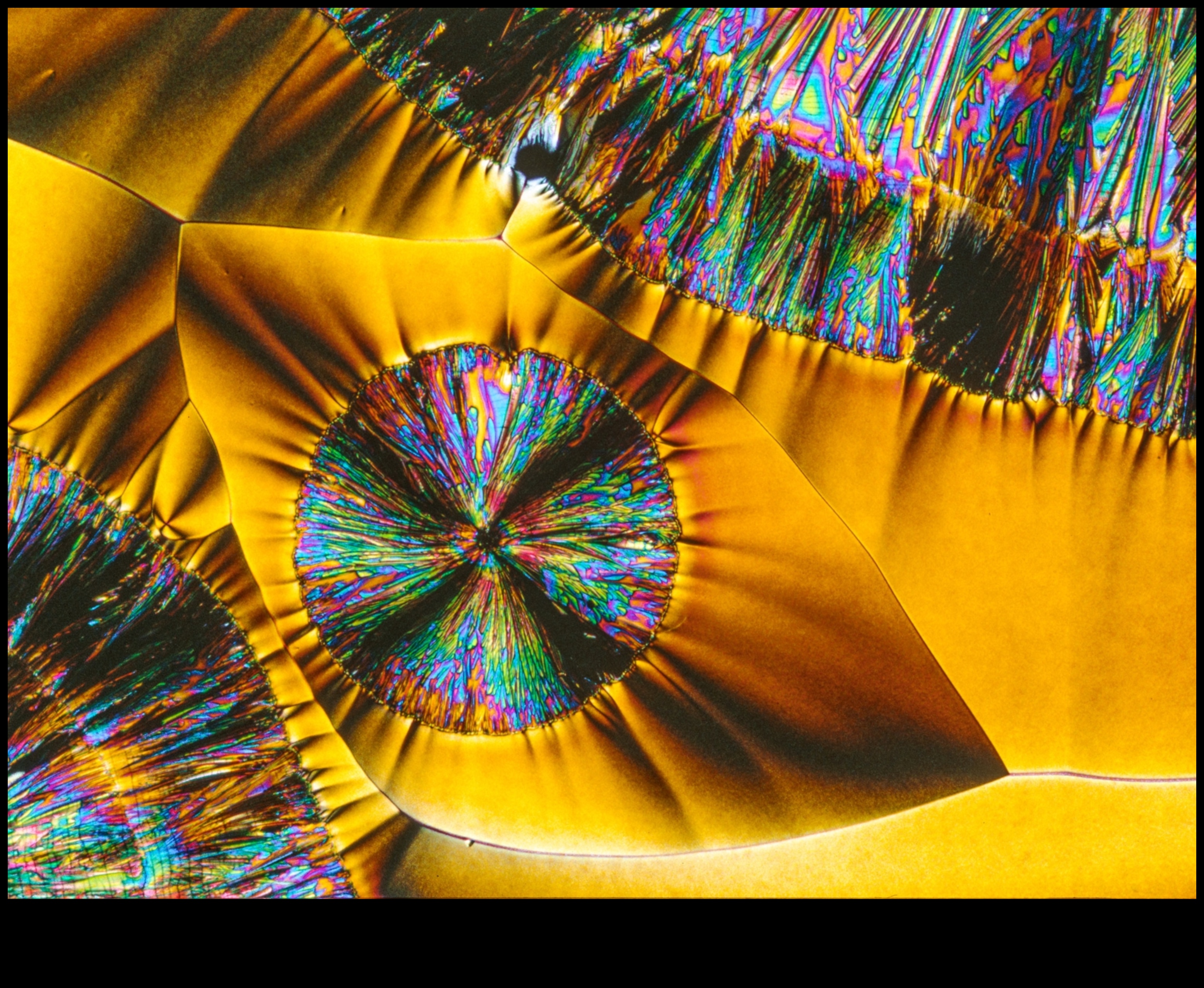 Lumi mici, impact mare Arta de a vedea extraordinarul în obișnuit 3 Tiny Worlds, Big Impact: The Artistic of Macro Photography