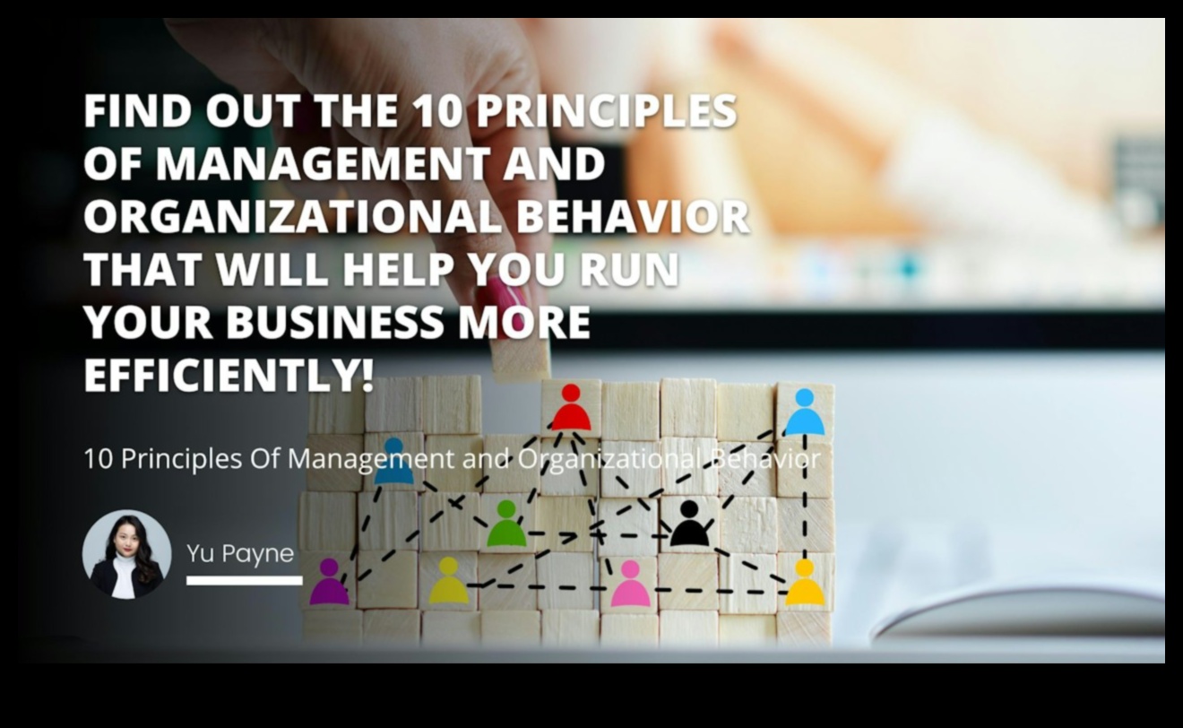 Critica constructivă Armonia: echilibrarea viziunii artistice și îmbunătățirea