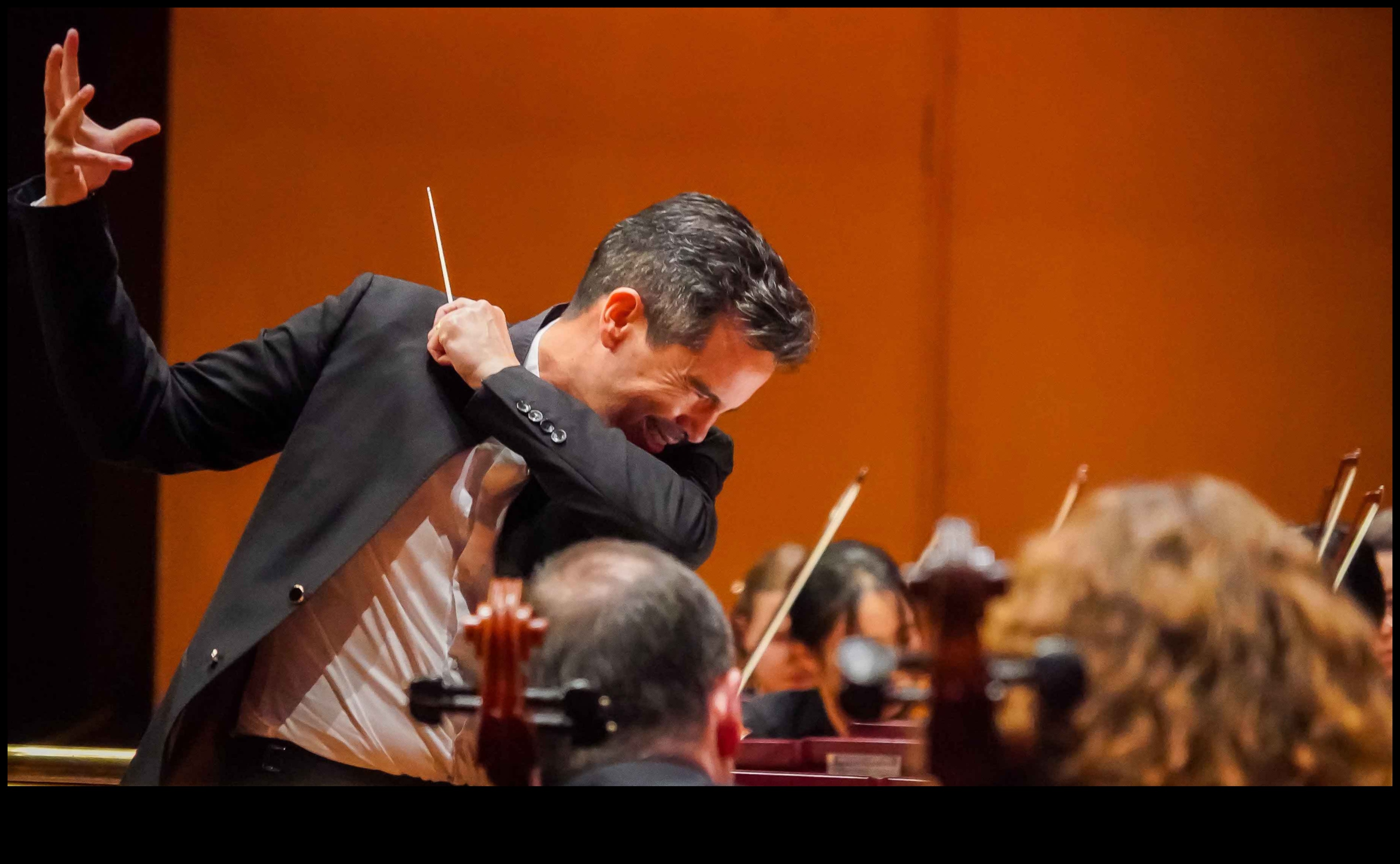 Simfonia microcosmică: compunerea capodoperelor vizuale cu macro-uri