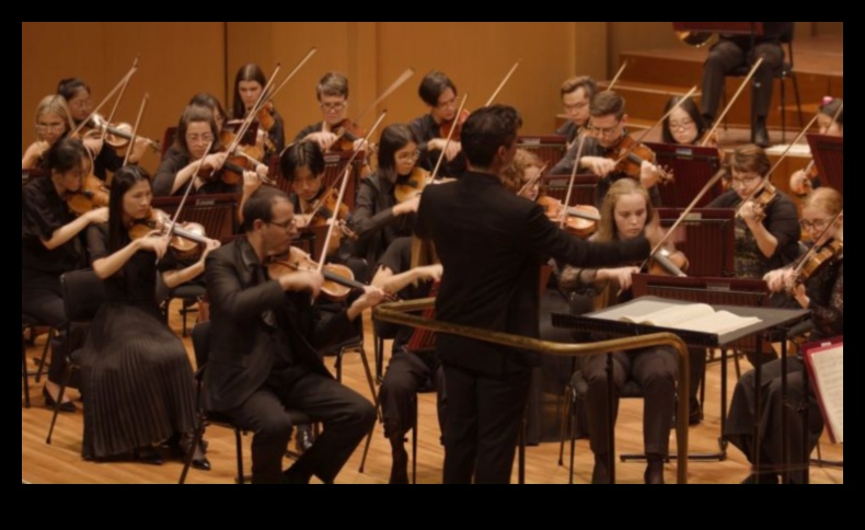 Simfonia microcosmică: compunerea capodoperelor vizuale cu macro-uri