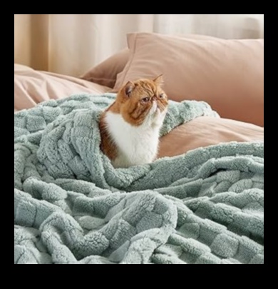 Acoperă drăguță Pături elegante pentru momente confortabile 3 Huse drăguțe: pături elegante pentru momente confortabile