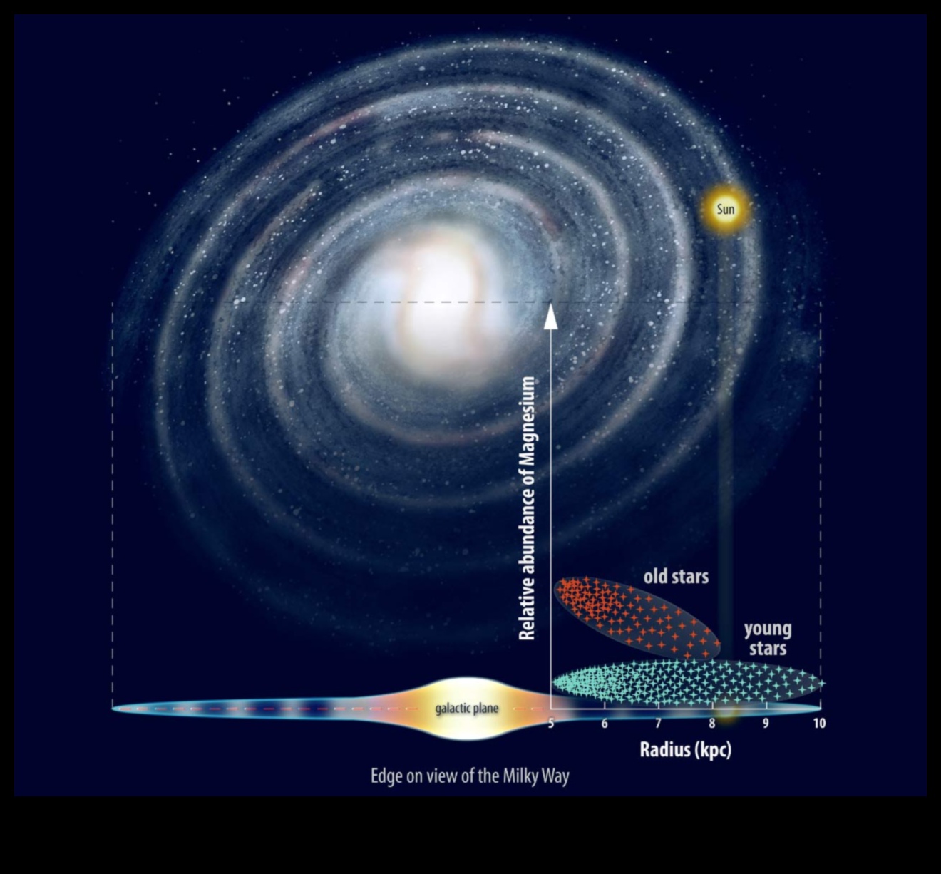 Orbite galactice Dansul stelelor în Calea Lactee 3 Orbite galactice: urmărirea traiectoriilor gravitaționale ale stelelor