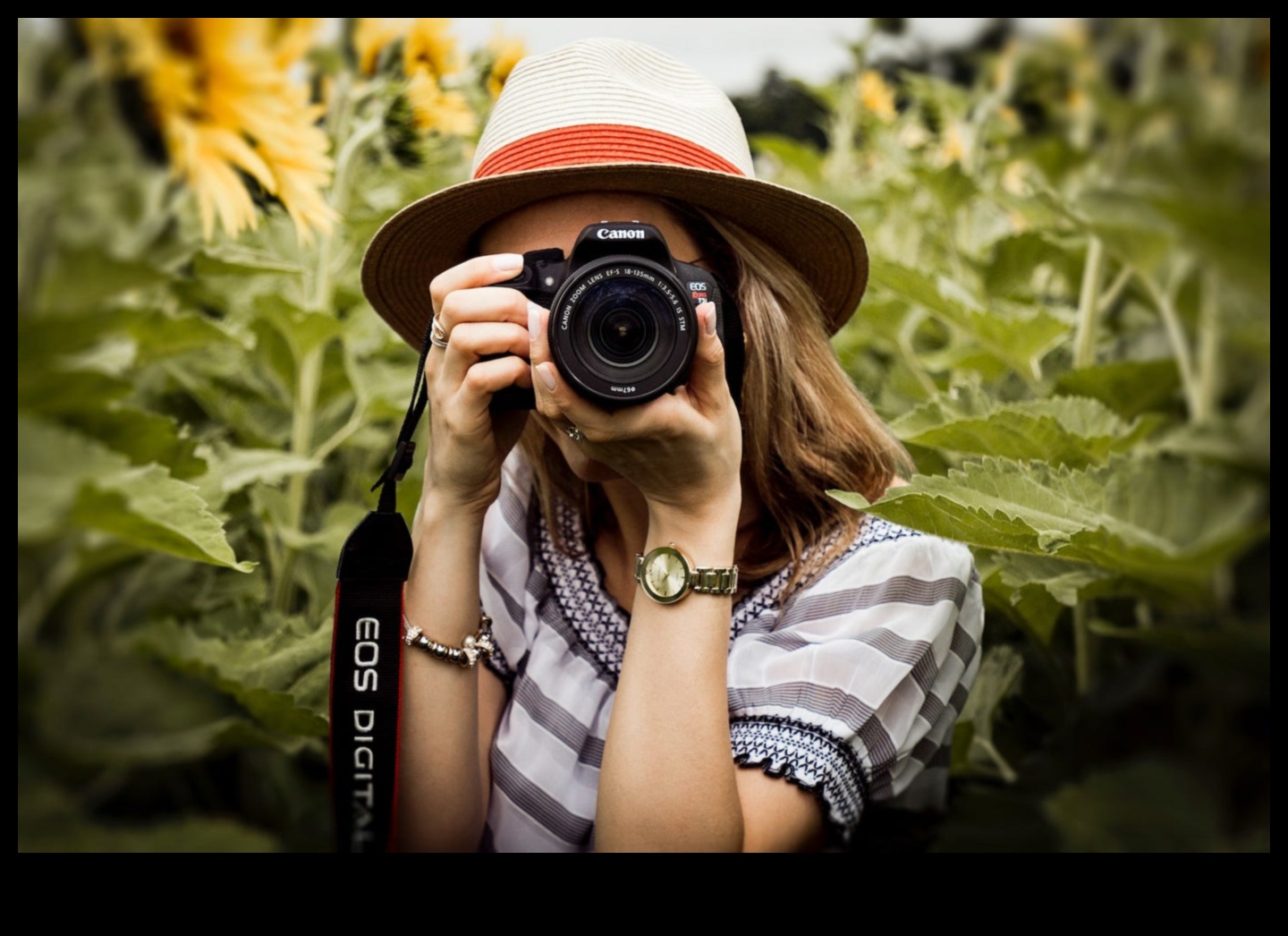 Shuttercraft digital: deblocarea potențialului în arta fotografică