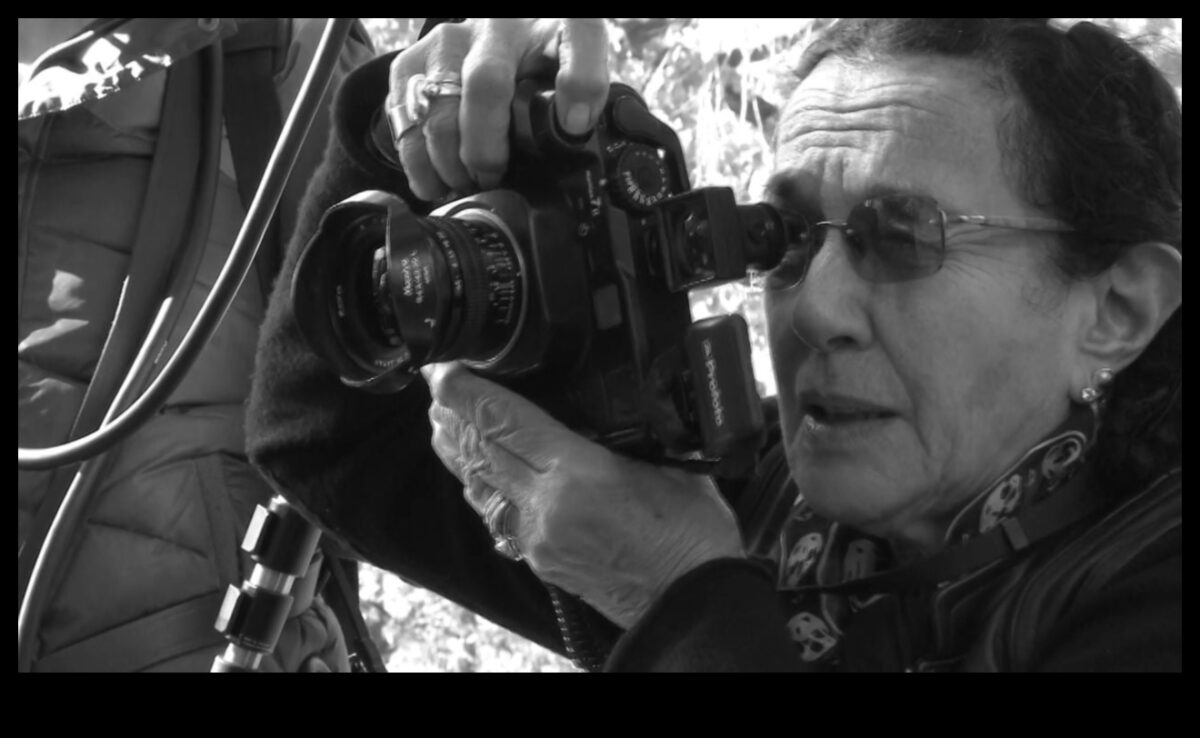 Lens Legends: Dezlănțuirea creativității cu o educație cuprinzătoare în fotografie