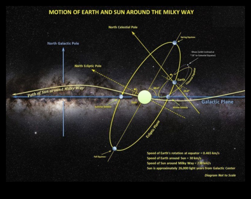 Orbite galactice Dansul stelelor în Calea Lactee 1 Orbite galactice: urmărirea traiectoriilor gravitaționale ale stelelor