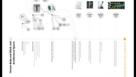 Proiectare pentru impact: crearea de experiențe arhitecturale memorabile