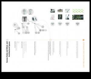 Proiectare pentru impact: crearea de experiențe arhitecturale memorabile